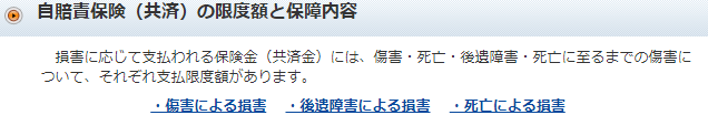 限度額と保障内容